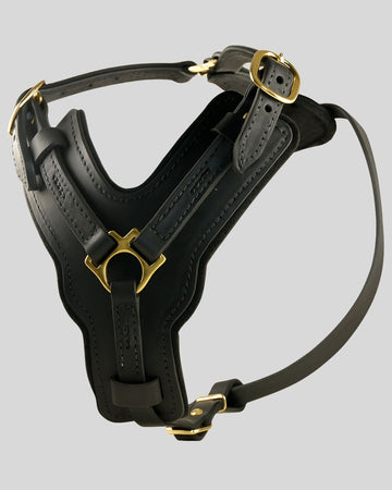 PowerPlate™ Black Leather Dog Harness