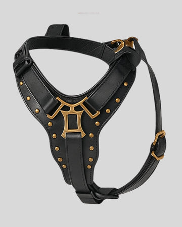 Black leather dog harness with gold H-shaped emblem and brass studs – angled studio view