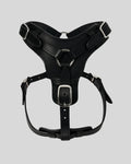 Black leather dog harness with silver buckles – studio front view