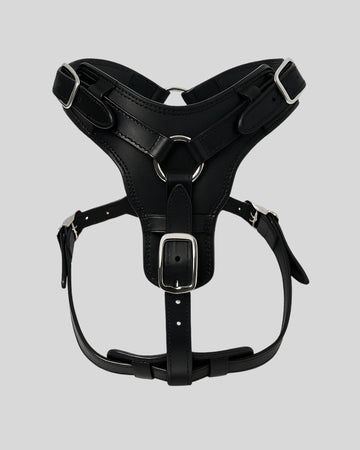Black leather dog harness with silver buckles – studio front view