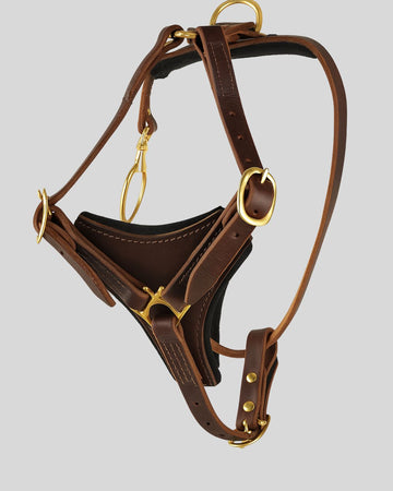 Adjustable handmade brown leather dog harness with brass fittings