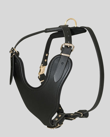 Sleek black leather dog harness full view with brass buckle hardware