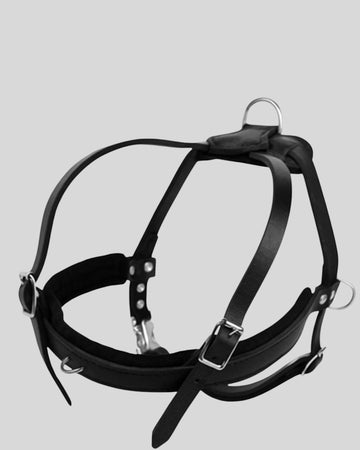 NoirBolt™ Padded Leather Dog Harness – Secure Fit for Agile Breeds