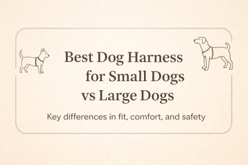 Best Dog Harness for Small Dogs vs Large Dogs