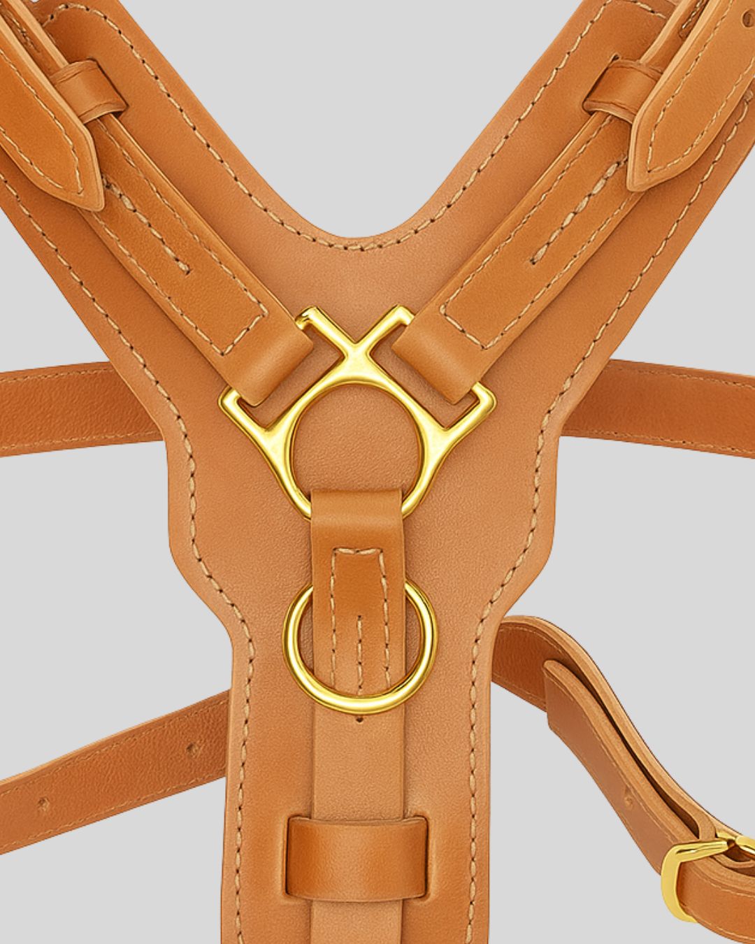 Close-up of tan leather dog harness with golden brass rings and stitching
