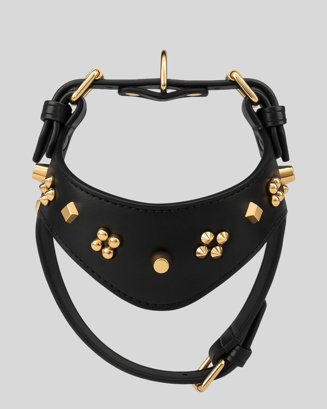 Black leather dog collar with gold studs on white Labrador – side profile view
