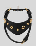 Flat lay of black leather dog collar with gold pyramid and ball studs