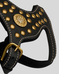 Brass buckle and stitching detail on black leather harness