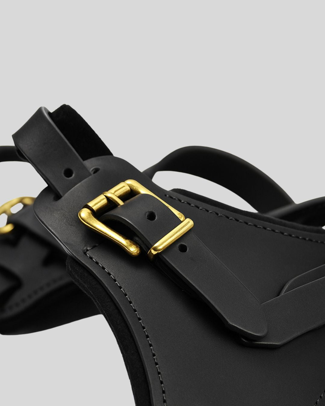 Close-up of under-belly secure strap on cushioned leather dog harness