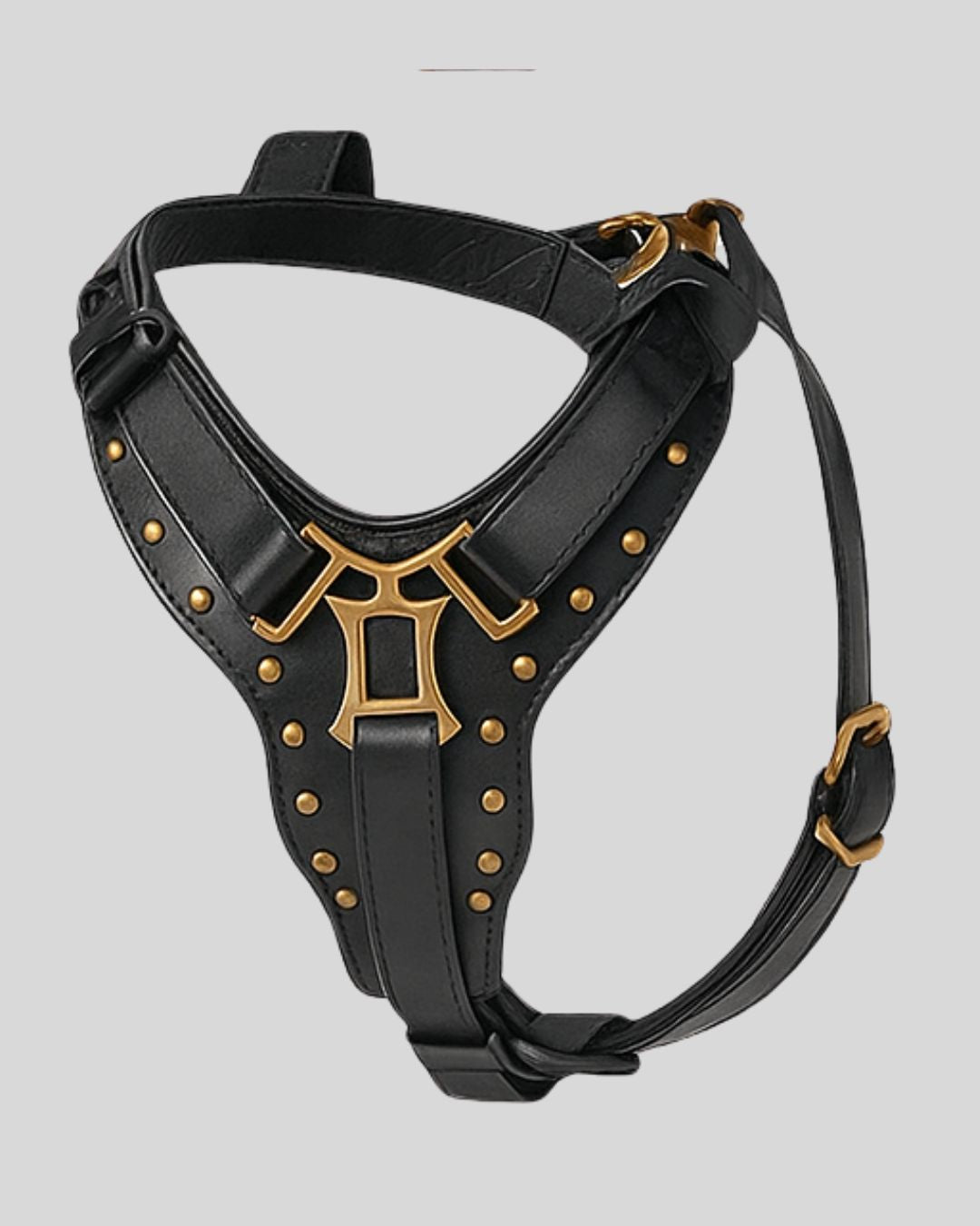 Black leather dog harness with gold H-shaped emblem and brass studs – angled studio view

