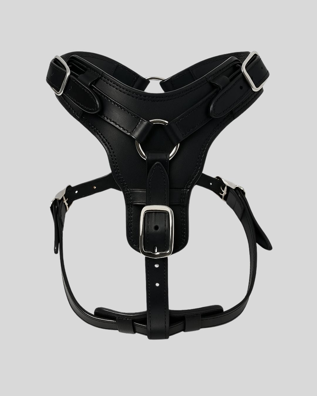 Black leather dog harness with silver buckles – studio front view