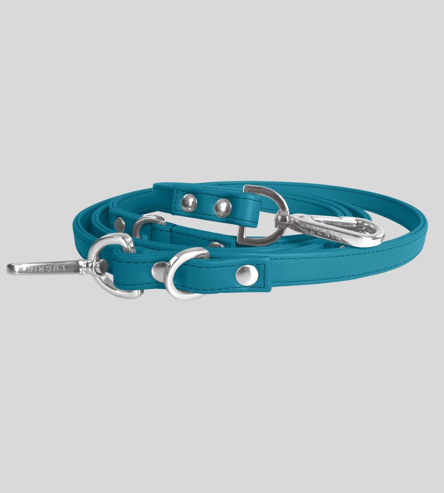 Coiled turquoise leather dog leash with rivets