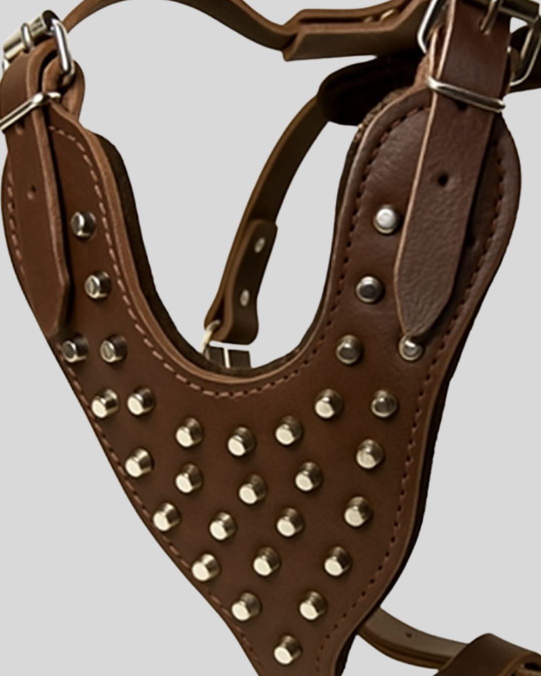 Close-up of reinforced chest plate with metal studs on brown leather dog harness