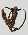 Full view of Bronze Guard™ heavy-duty brown leather dog harness with metal studs