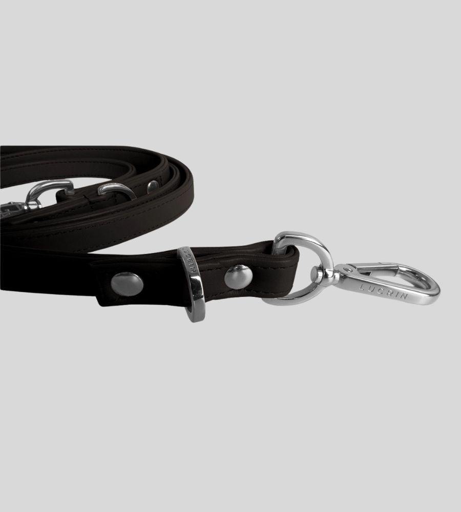 Close-up clasp detail on premium dark brown leather dog leash