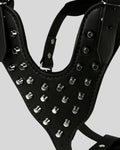 close-up view of black studded leather dog harness with stainless steel hardware and secure buckle strap