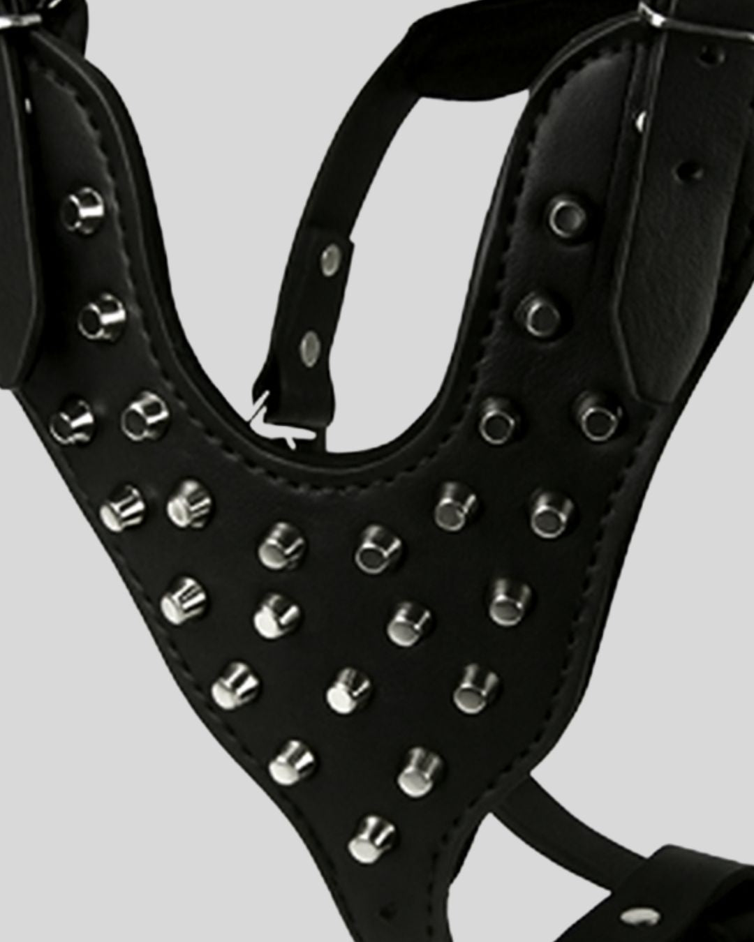 close-up view of black studded leather dog harness with stainless steel hardware and secure buckle strap