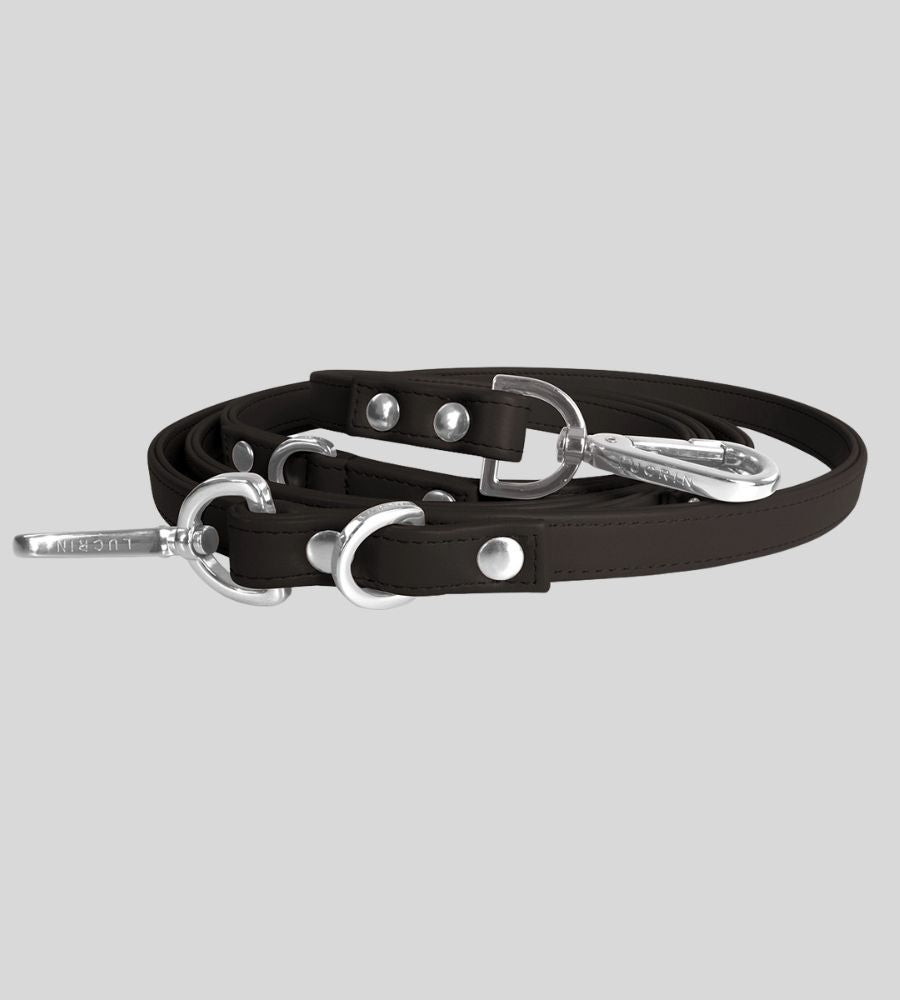 Coiled dark brown leather leash with silver hardware