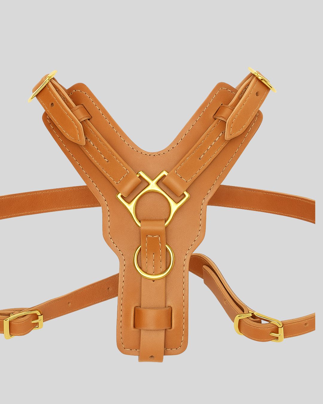 Labrador wearing tan leather dog harness with brass hardware on the beach

