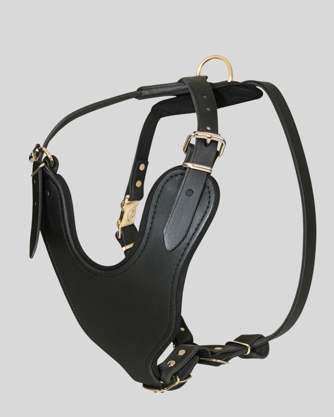 Sleek black leather dog harness full view with brass buckle hardware

