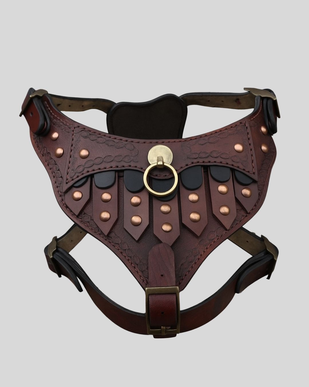Black pitbull wearing GladiusGuard™ leather gladiator harness with copper rivets and oxblood chest panel

