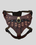 Black pitbull wearing GladiusGuard™ leather gladiator harness with copper rivets and oxblood chest panel


