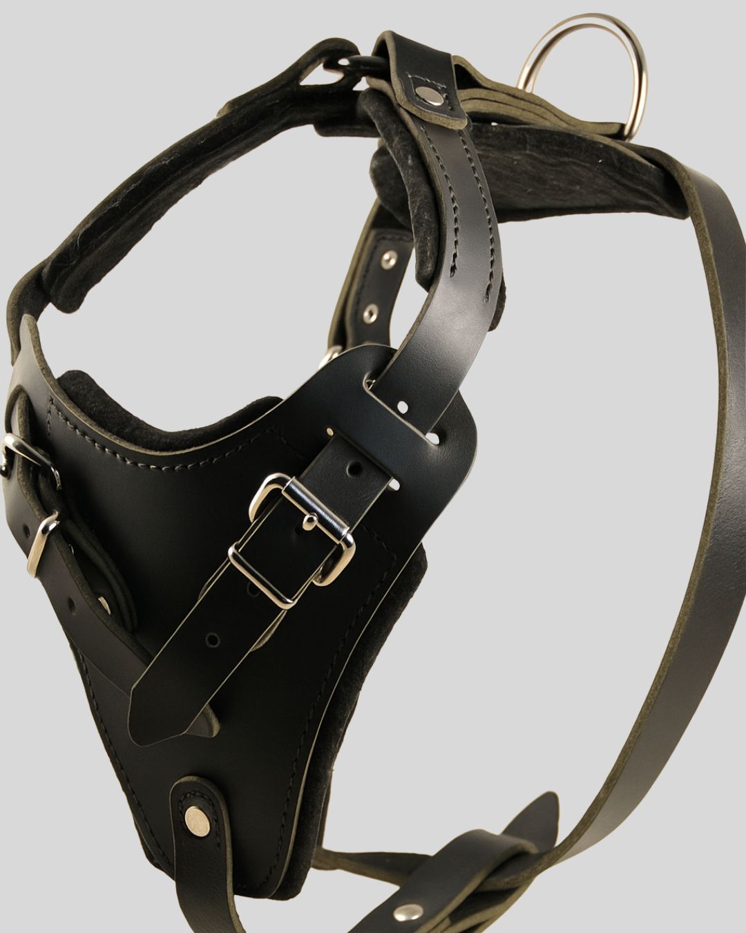 Close-up of black leather dog harness with brass buckle detailing
