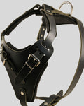 Close-up of black leather dog harness with brass buckle detailing
