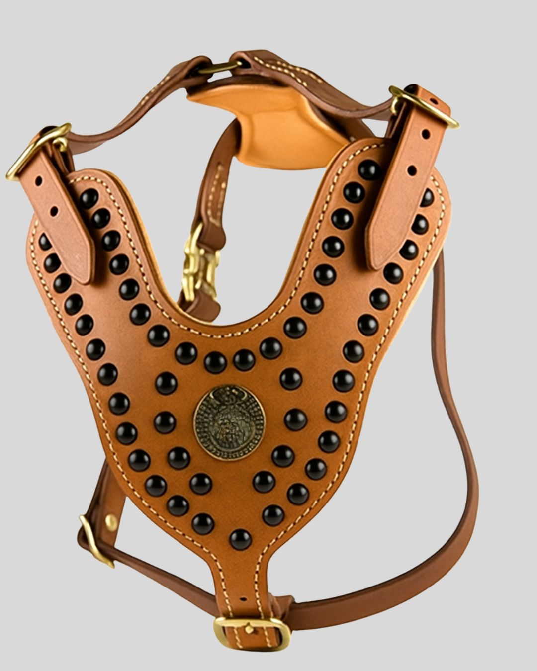 Brown leather harness with black studs and gold accents on a gray background