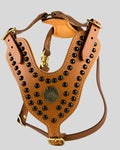 Brown leather harness with black studs and gold accents on a gray background