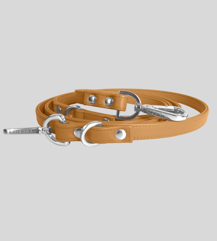 Coiled natural leather dog leash with silver hardware