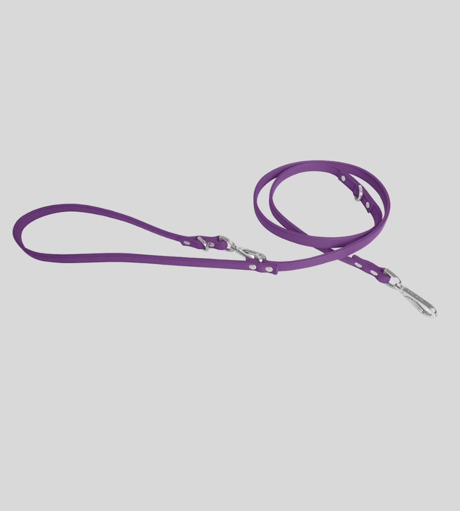 Coiled white leather dog leash with silver hardware