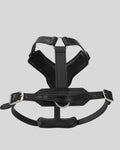 Black leather harness on a gray background