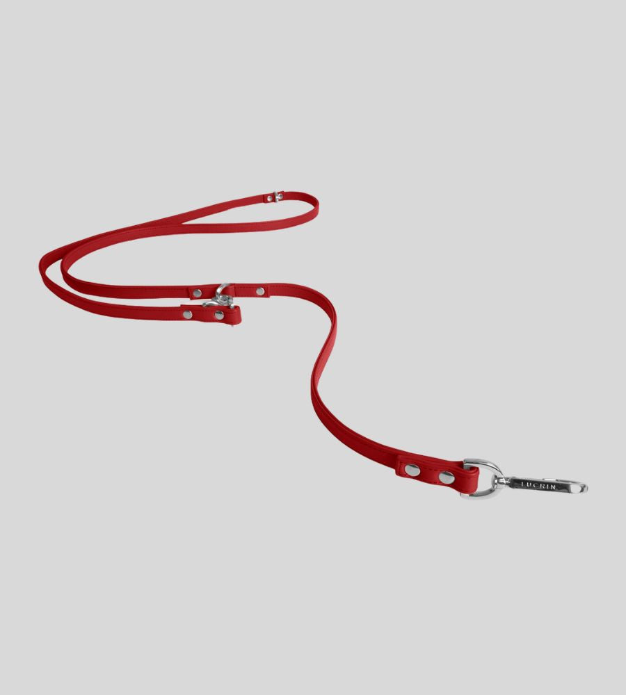 Full view red leather dog leash with loop handle