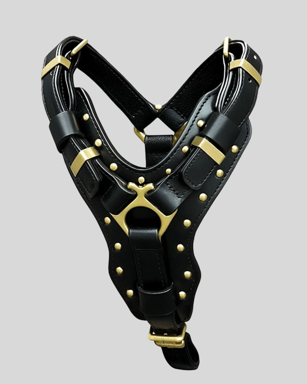 Full-body tactical black leather dog harness with bold gold hardware and padded support – studio background