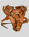 Front view of full grain tan leather dog harness with reinforced brass rings and stitched design


